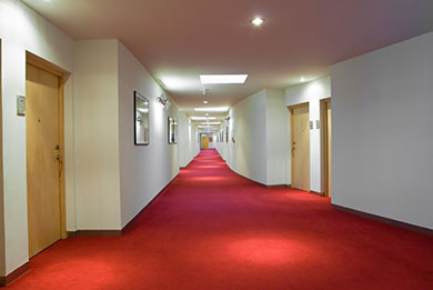 commercial carpet cleaning dorset